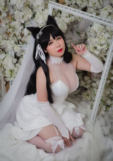 欧美歌曲打包合集_高清蓝光在线观